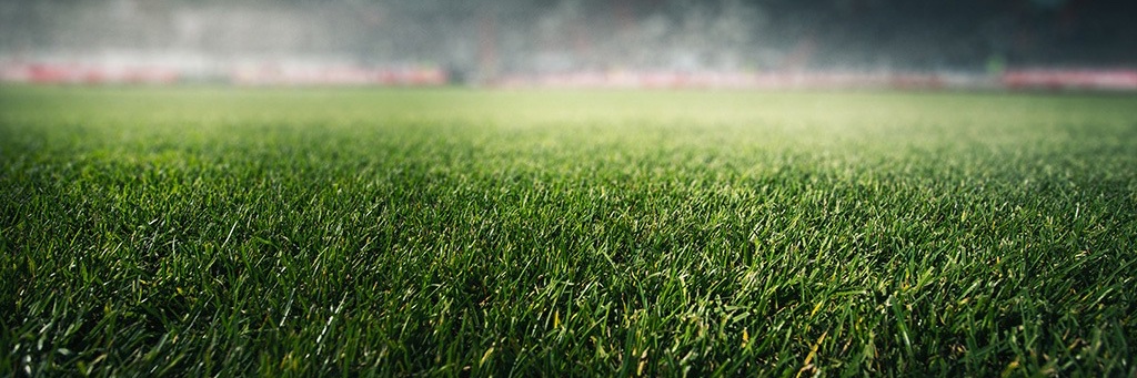 FFS Community banner