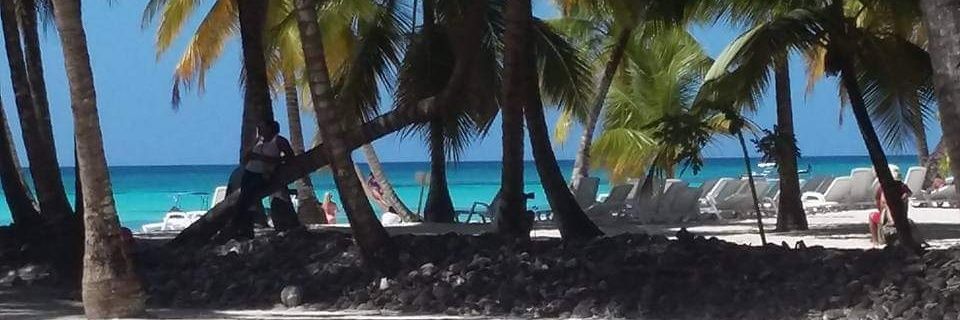 Rocío 🌹 banner