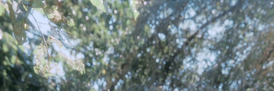 fm banner