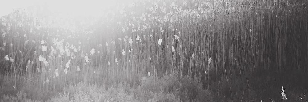 josemoncholi's profile banner image
