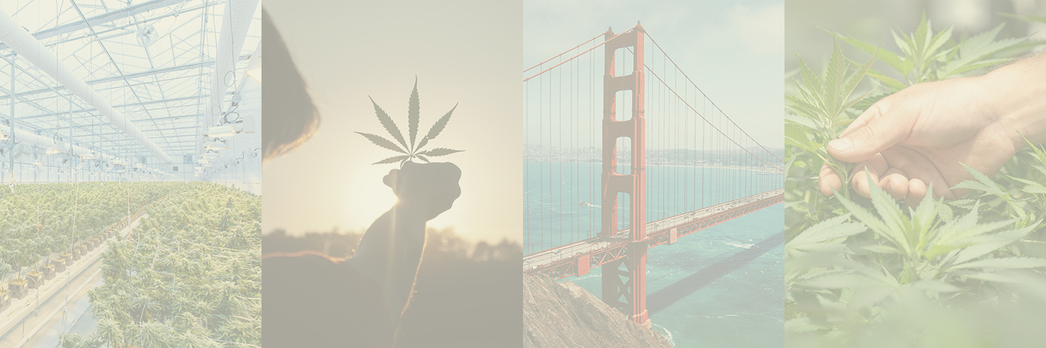 StateHouse Holdings banner