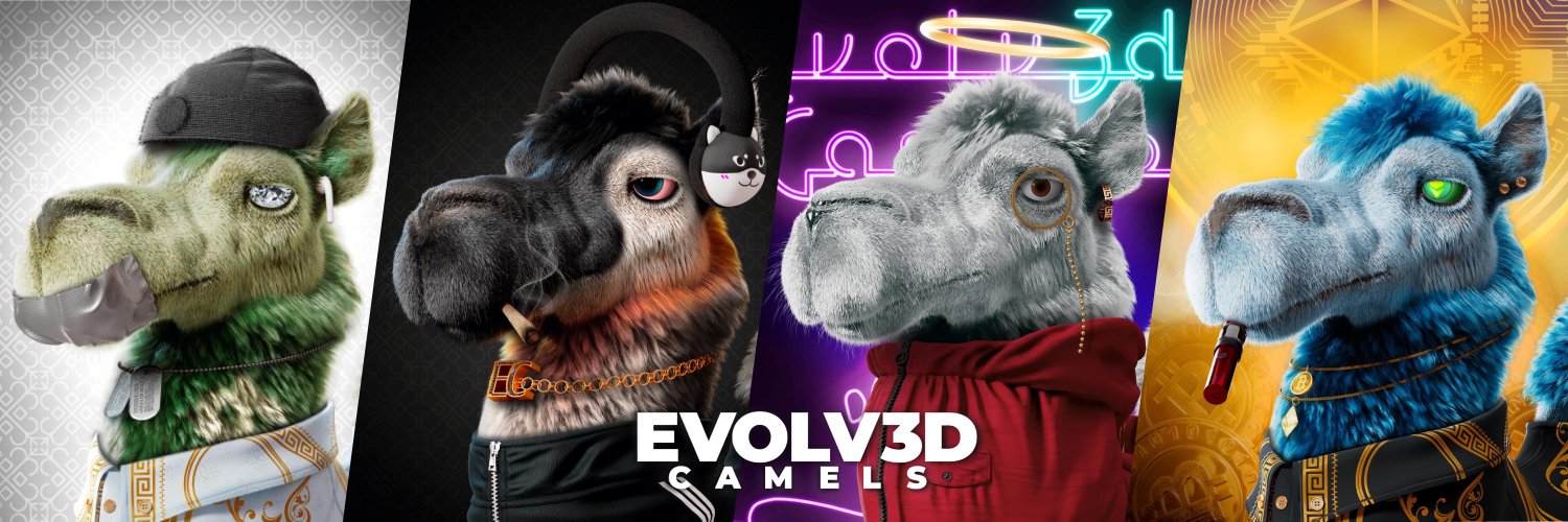 EVOLV3D CAMELS banner