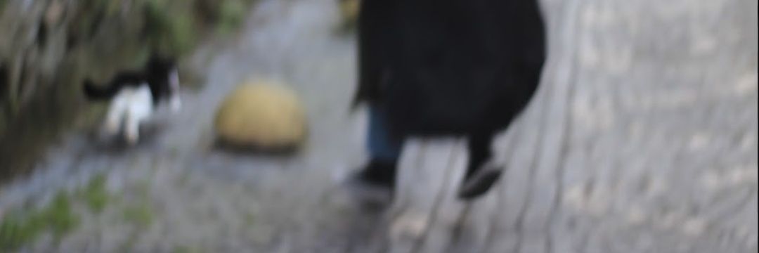 ssuedadada's profile banner image