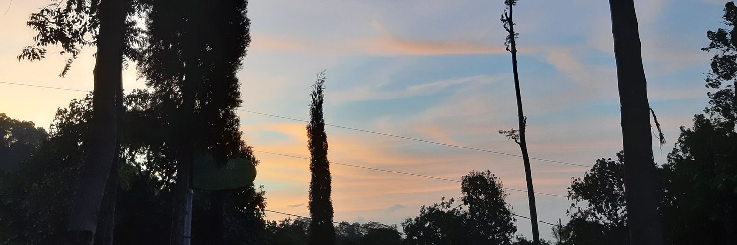 selaceyi's profile banner image