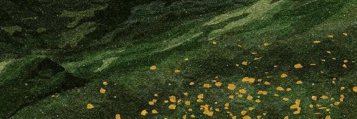 William_m banner