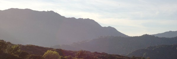 nancywalecki Profile Banner