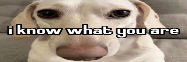 كريم 🍉🇵🇸 banner