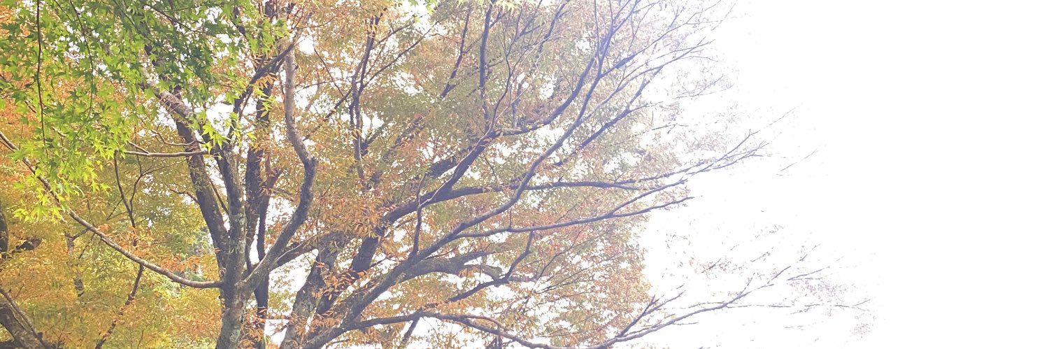 serika0211's profile banner image