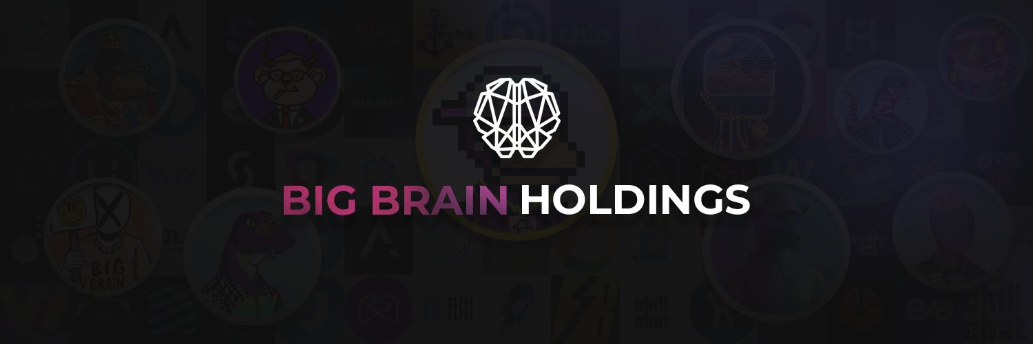 Big Brain Holdings Profile Banner