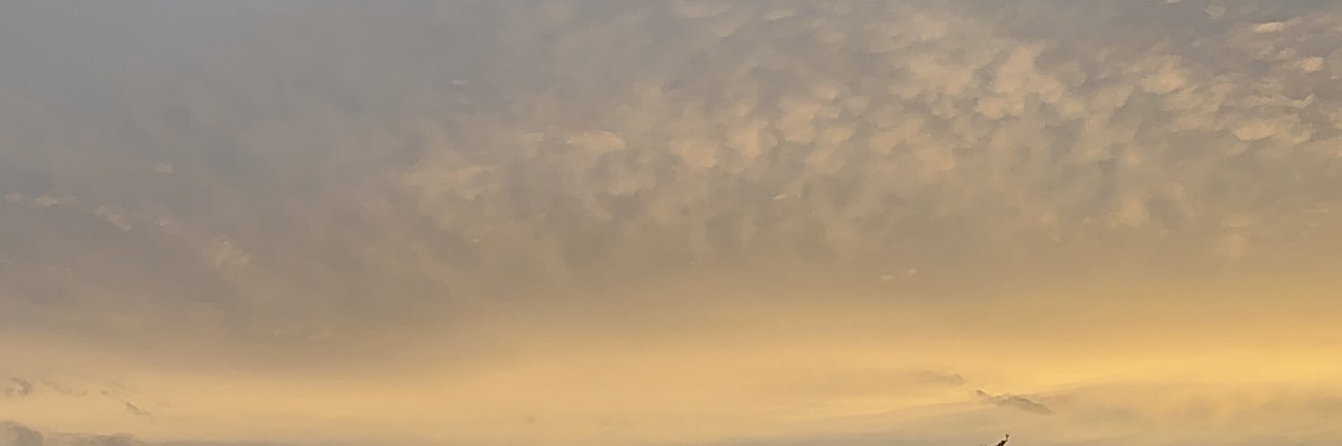 7kingxq's profile banner image
