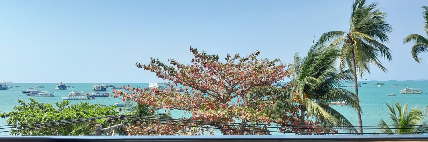 paniton's profile banner image