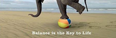 Code Arachnid banner