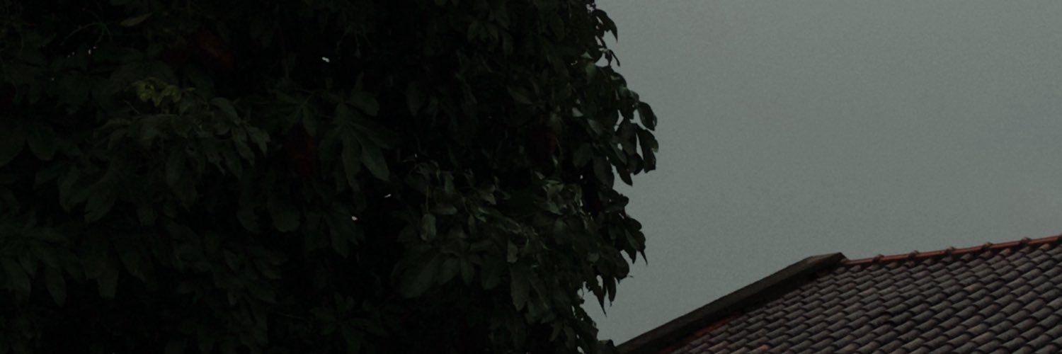 anavoigk's profile banner image