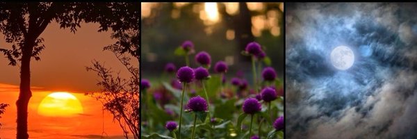 JustNeha____ Profile Banner