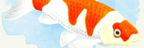 LCampelomoreno's profile banner image