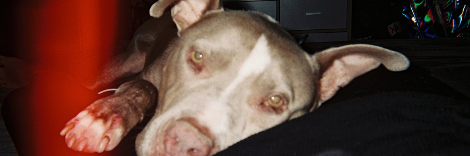 dakotahhrae's profile banner image
