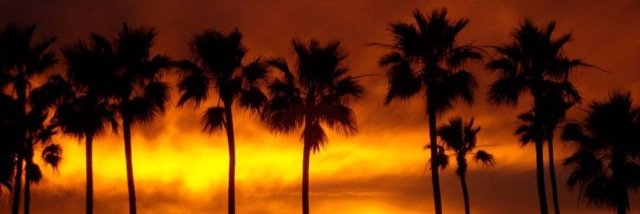 isalolo21's profile banner image