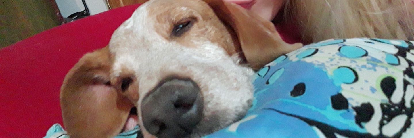 Ramu_teamo's profile banner image
