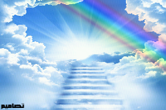 KittyTara321's profile banner image