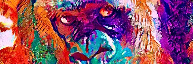 dcnftfan5's profile banner image
