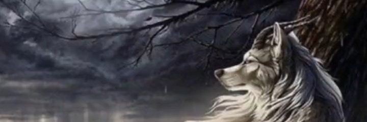 الفتى الذهبي banner