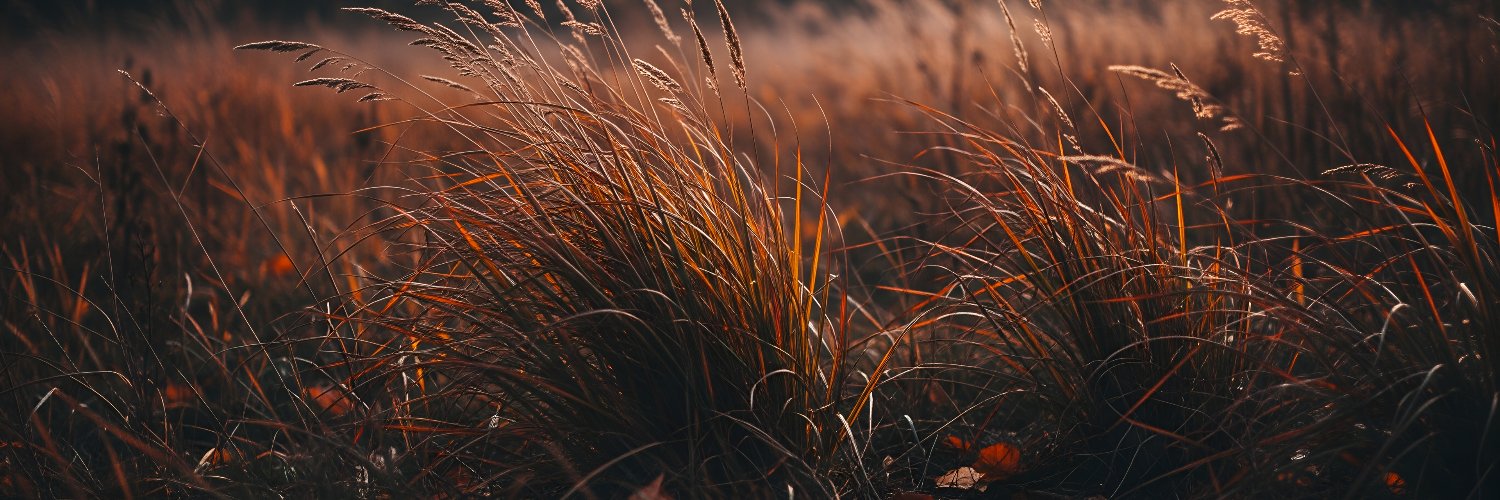 eduardsputra's profile banner image