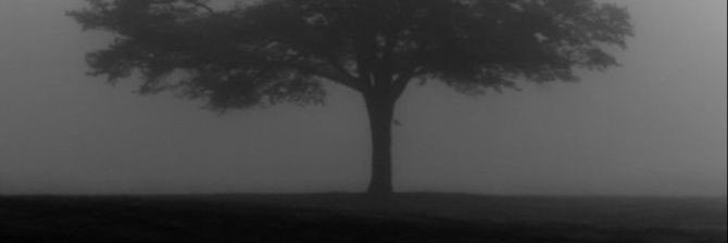 aldisupa_'s profile banner image