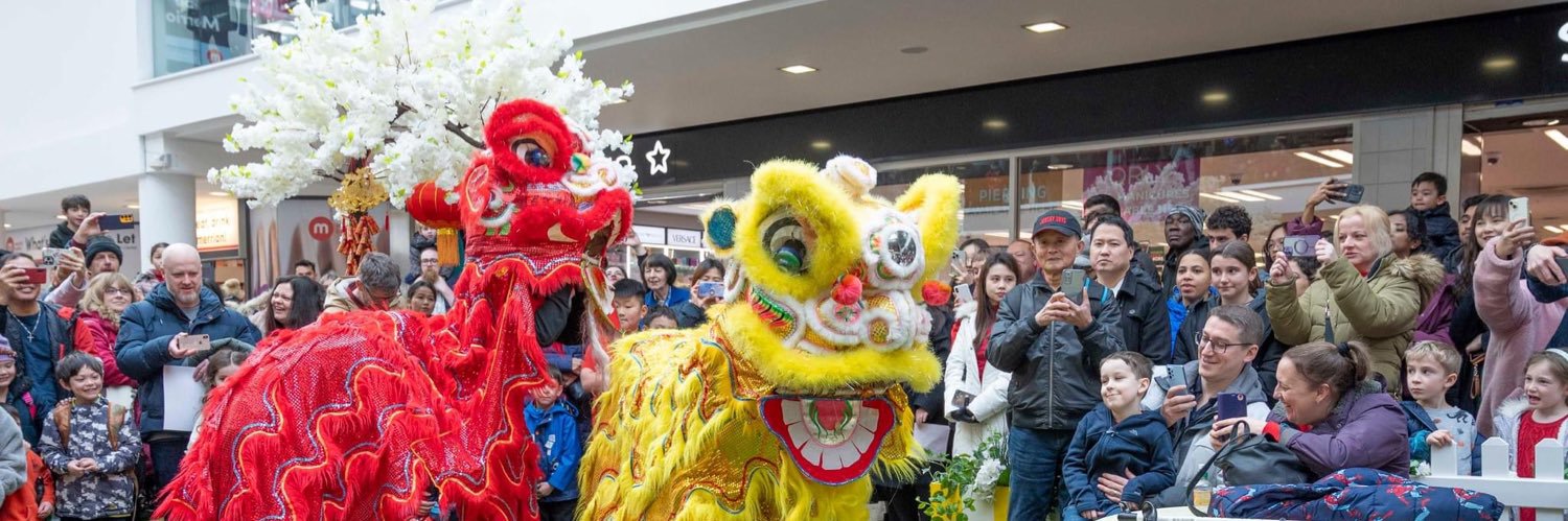 Merrion Centre banner
