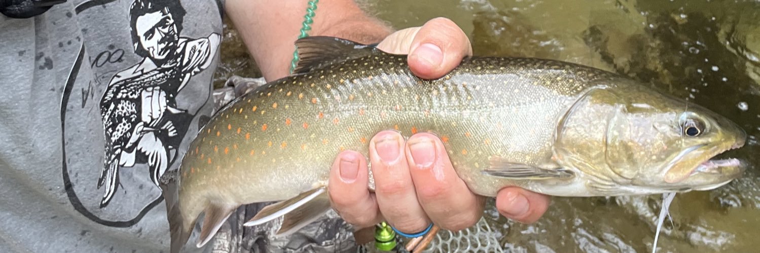 wvangler78's profile banner image