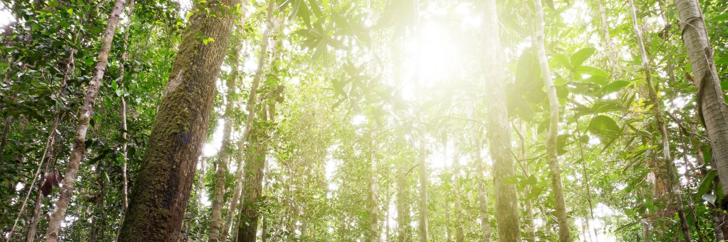 1t.org US Chapter's banner