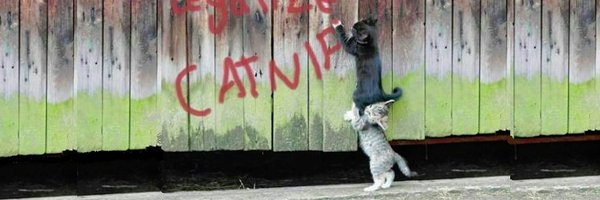 netgeekAnimal Profile Banner