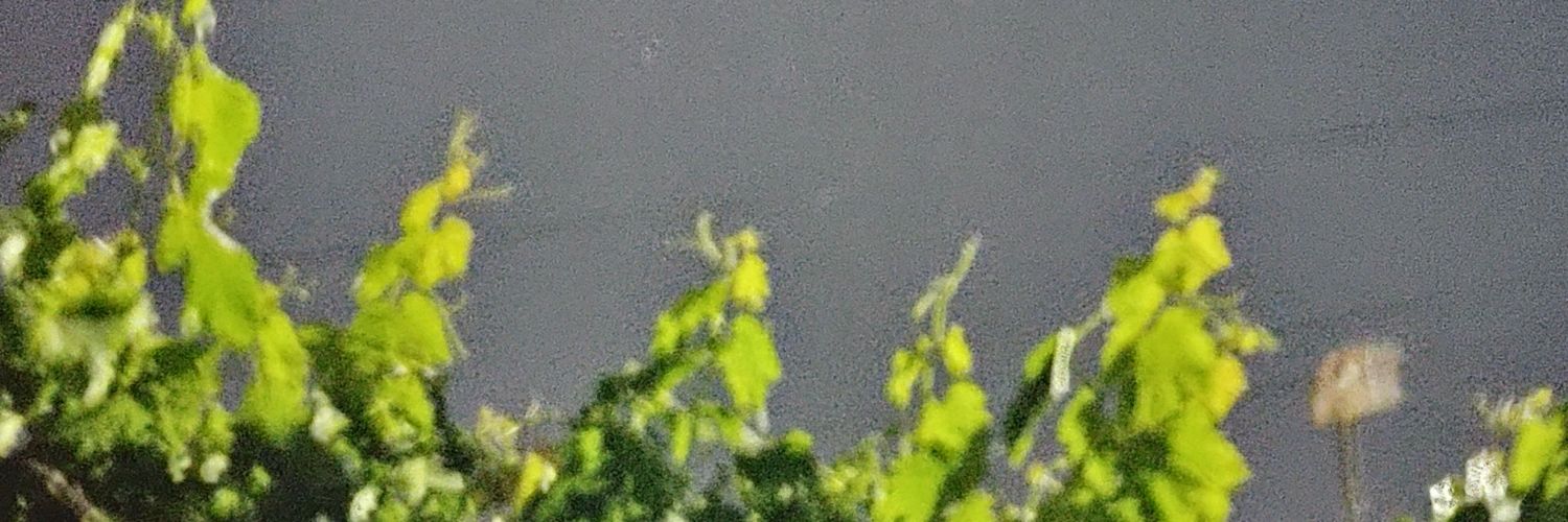 sebasberna's profile banner image