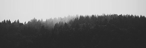 A banner