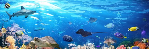 Blue_Nile420 Profile Banner