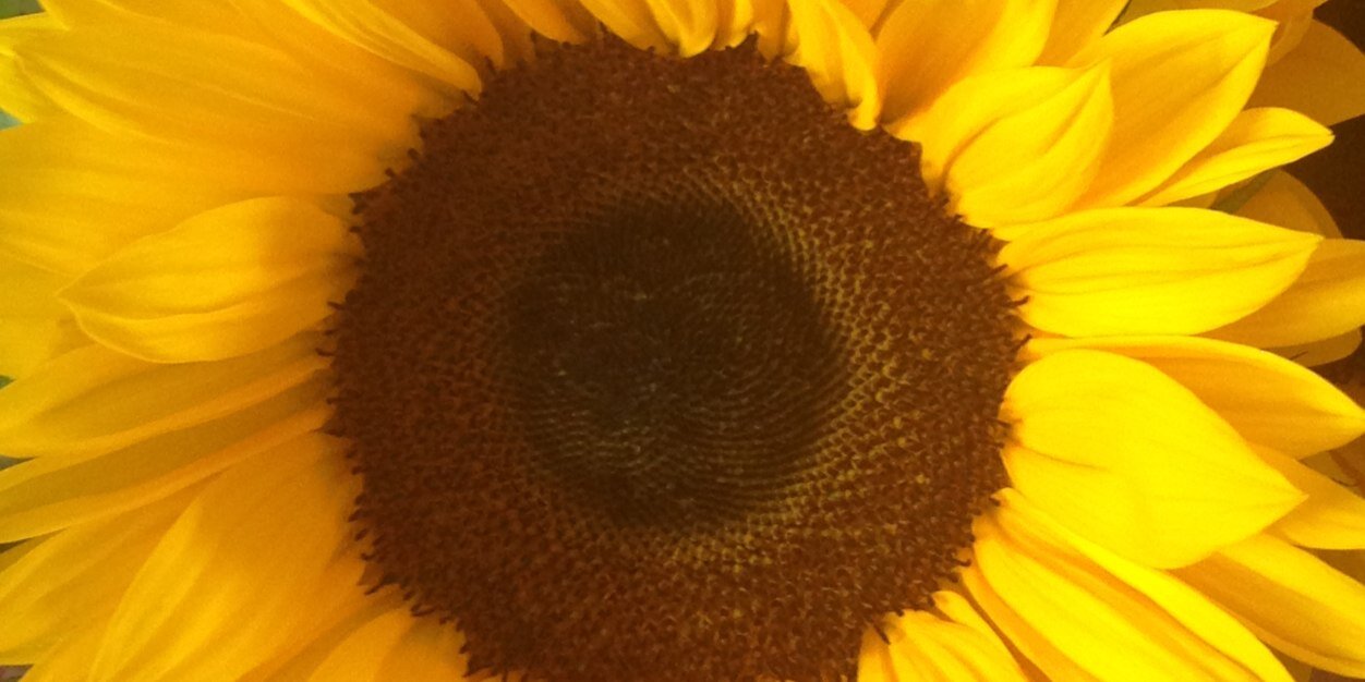 LisaBass86's profile banner image