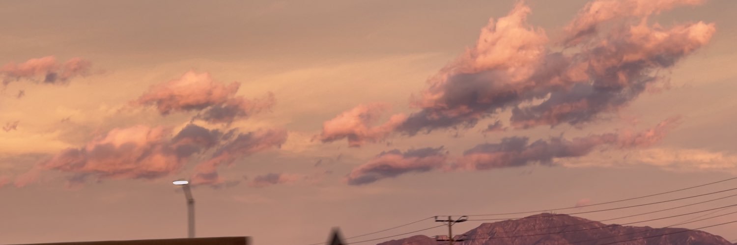 timshundo's profile banner image