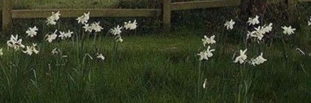 Me banner