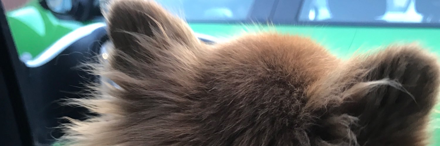 missjess2003's profile banner image