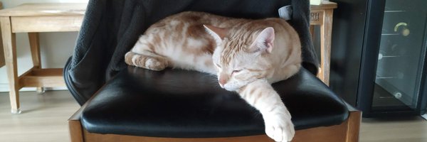 lifegood Profile Banner