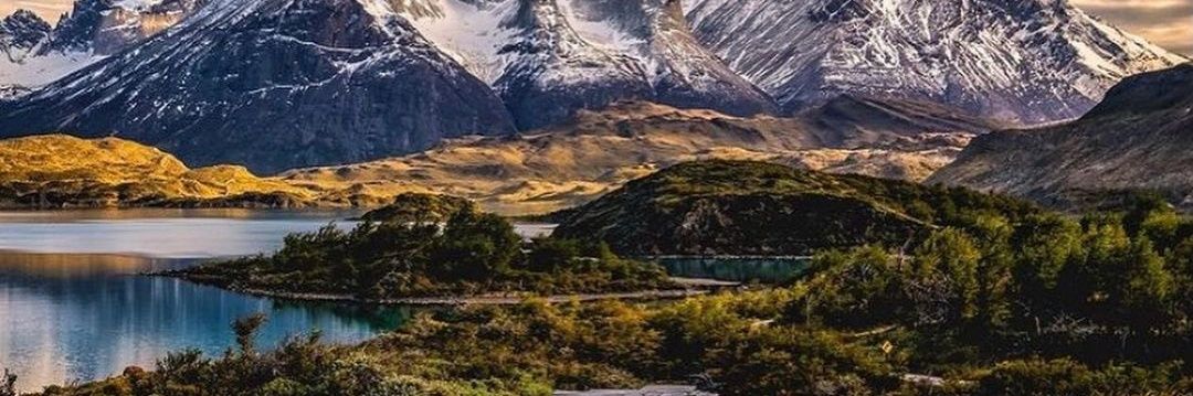 S.cter_ry🌵cactus banner