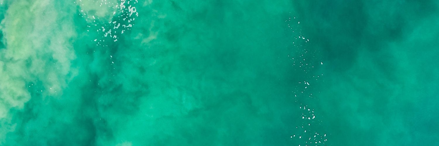 L banner