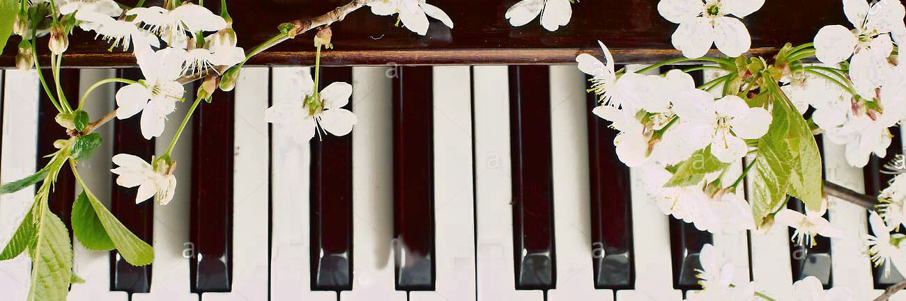 SuzannesMusic&Art's banner