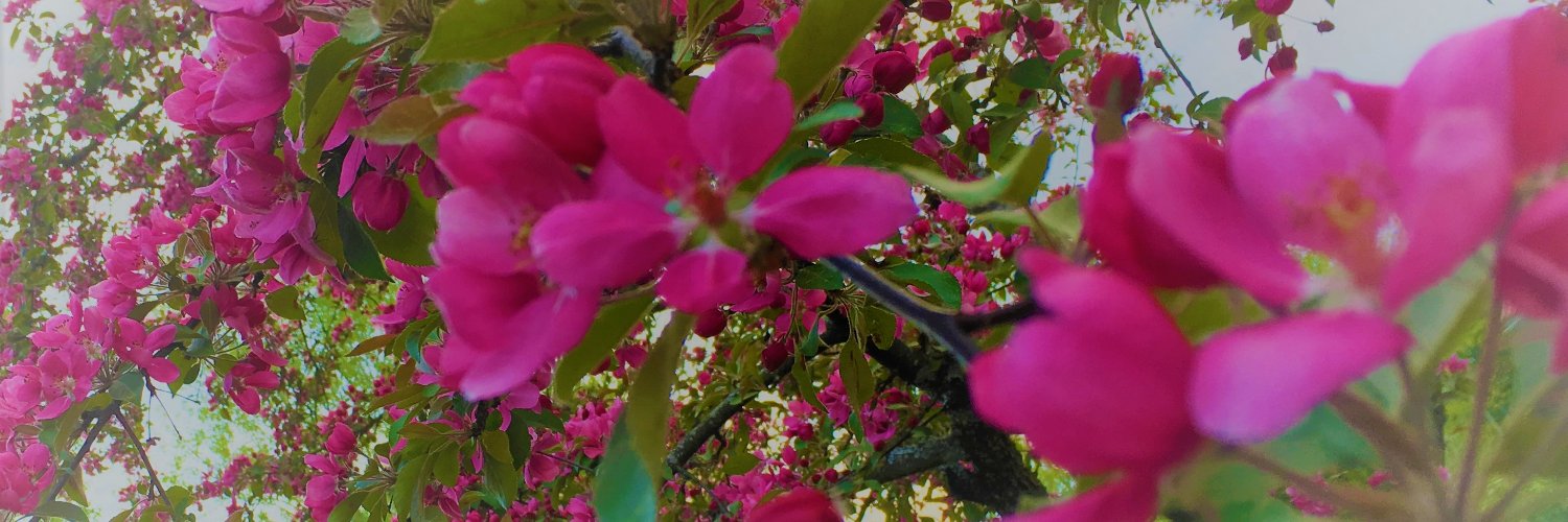 Helena Sarén banner