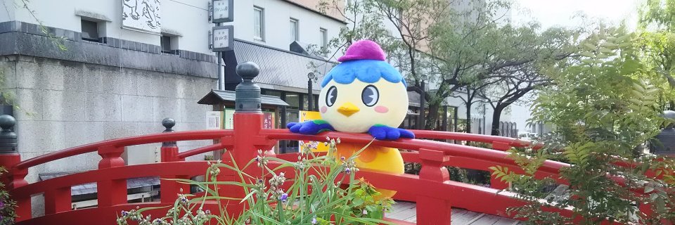 yairochan's profile banner image