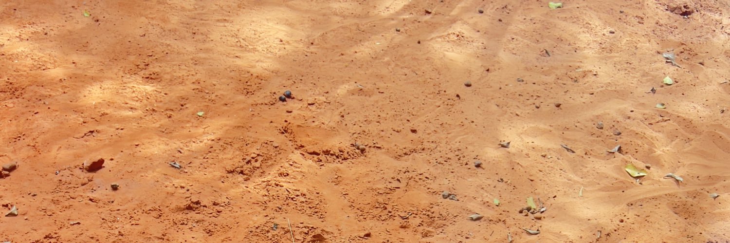 khatroosh's profile banner image