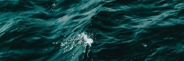 👻 banner