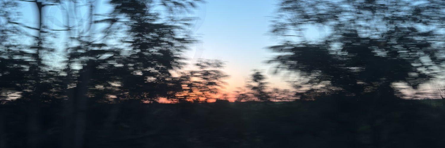 rayyborderlins's profile banner image