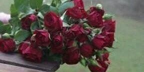 hattan ♡♪☜ banner