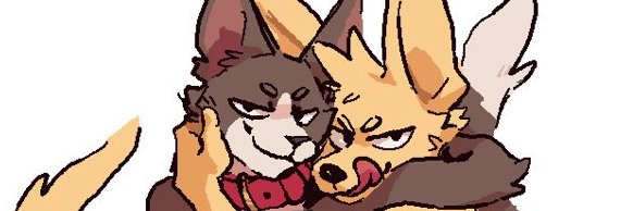 Foxxed Box 🔞 banner