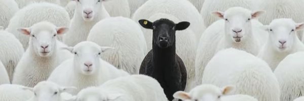 jayzee_5 Profile Banner